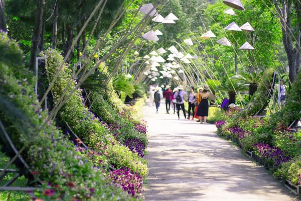 Suối Hoa Lan - Điểm Đến Kỳ Thú